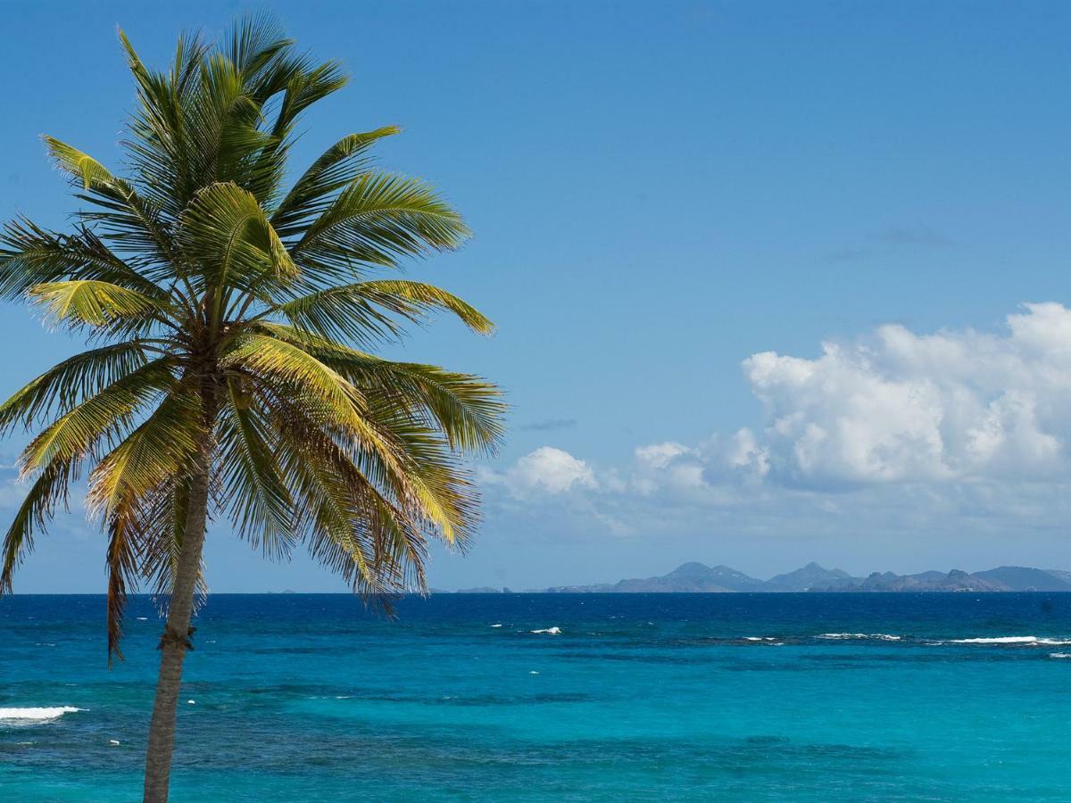 Coral Beach Club Villas & Marina Sint Maarten Eksteriør billede